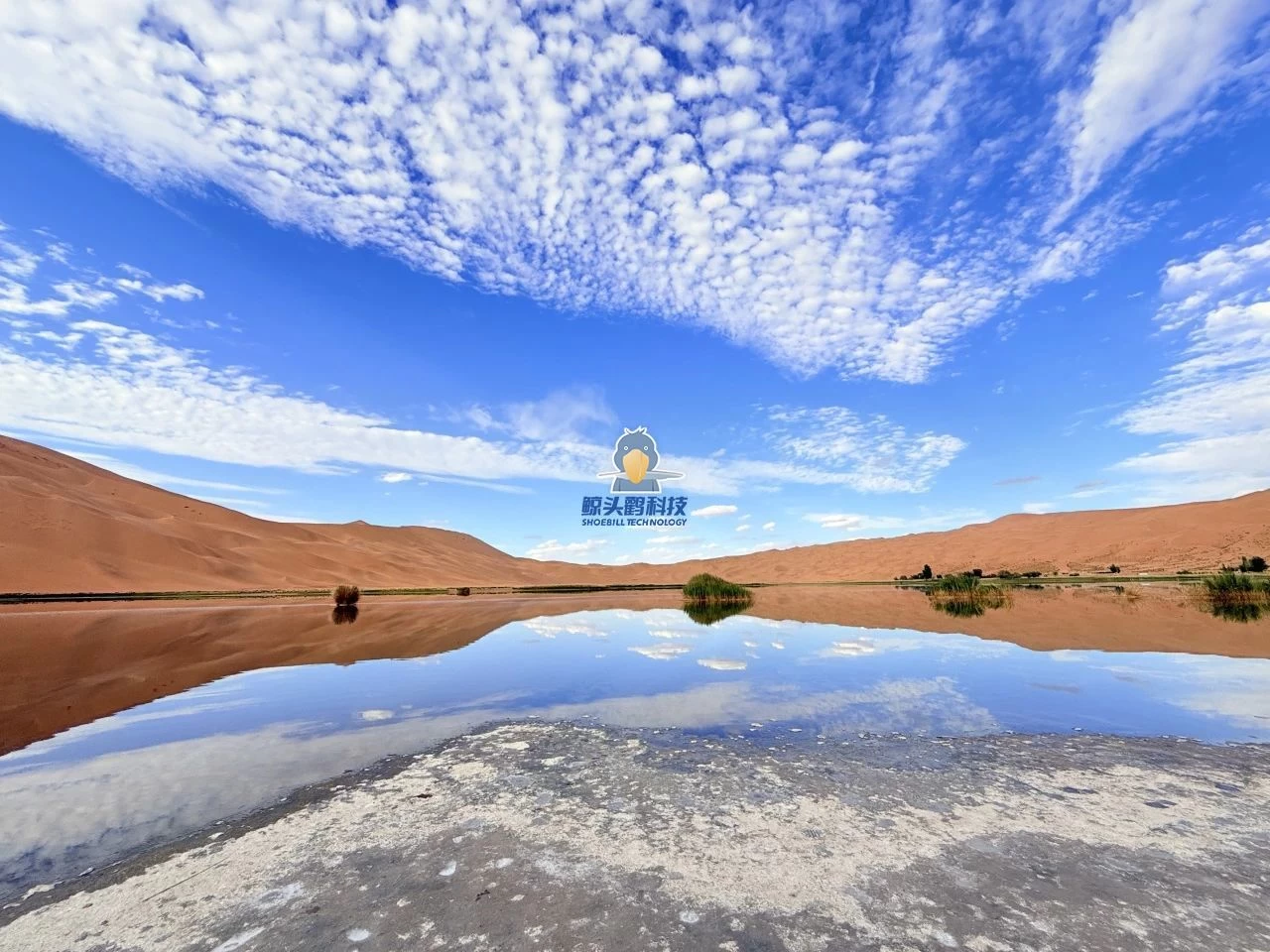 သဲကန္တာရ၏ နှလုံးသားထဲသို့ စွန့်စားခြင်း။ သဲကန္တာရ၏ နှလုံးသားထဲသို့ စွန့်စားခြင်း။