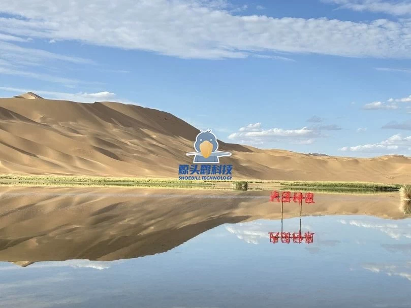 သဲကန္တာရ၏ နှလုံးသားထဲသို့ စွန့်စားခြင်း။ သဲကန္တာရ၏ နှလုံးသားထဲသို့ စွန့်စားခြင်း။