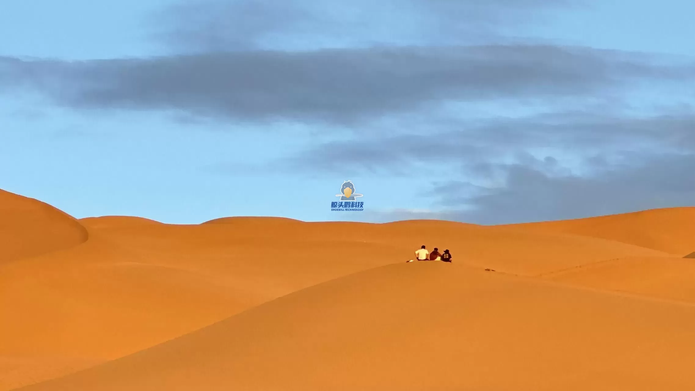 သဲကန္တာရ၏ နှလုံးသားထဲသို့ စွန့်စားခြင်း။ သဲကန္တာရ၏ နှလုံးသားထဲသို့ စွန့်စားခြင်း။