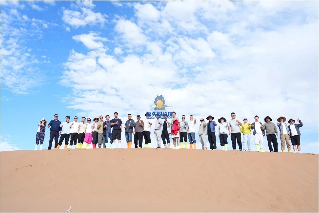 Shoeill နည်းပညာ Shoeill နည်းပညာ